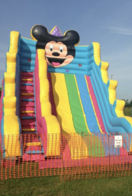 Mickey slide