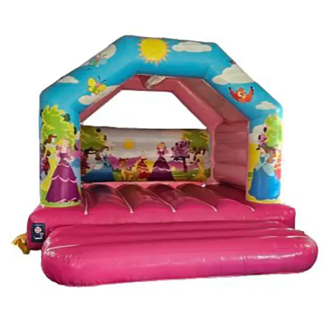 Princess bouncy castle